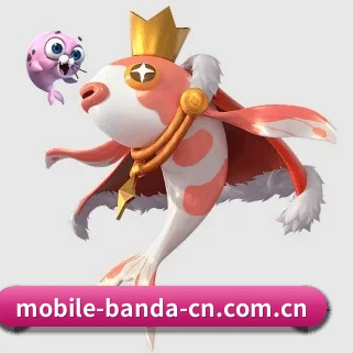 半岛综合 APP